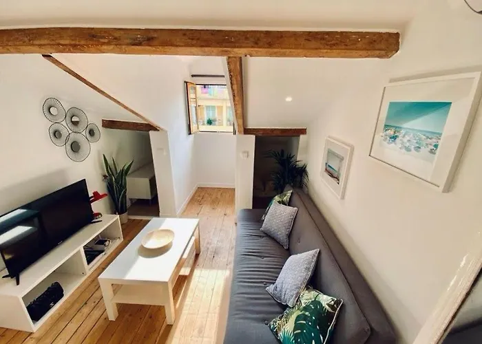 Guisol 17 Attic Cocon Port De Nizza