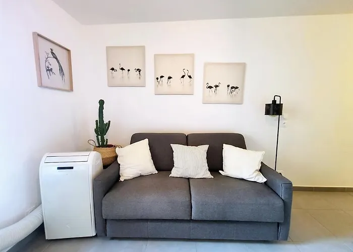 Wehost - Studio Flamingo Nizza