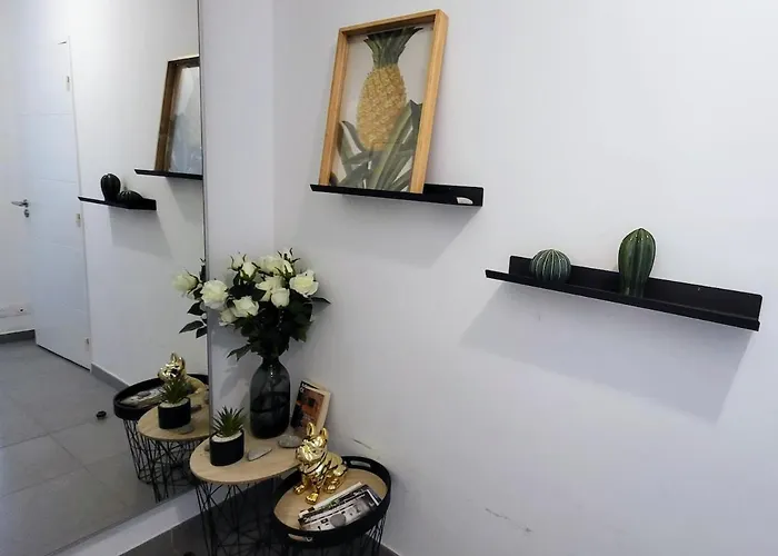 Wehost - Studio Flamingo Nizza