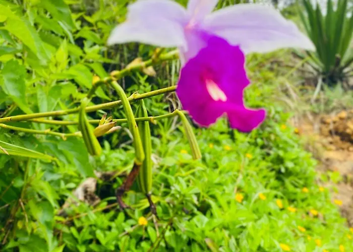 Gregory Holiday Home Nuwara Eliya