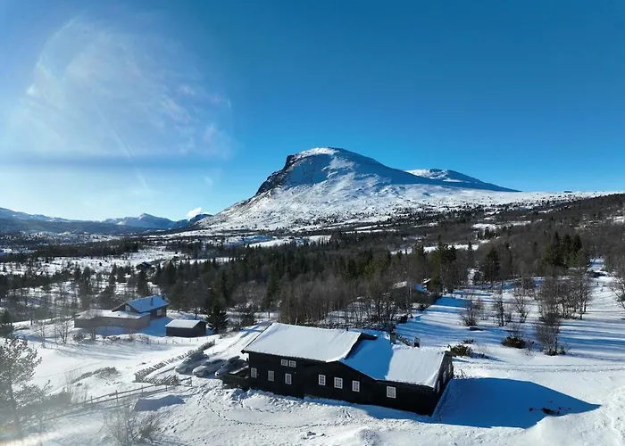 Large Cabin 27 Guests With Panoramic View Hemsedal