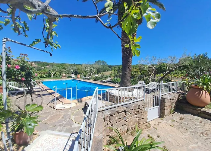 Authenticite Serenite Au Coeur Des Vignes Maison T3 A Ramatuelle