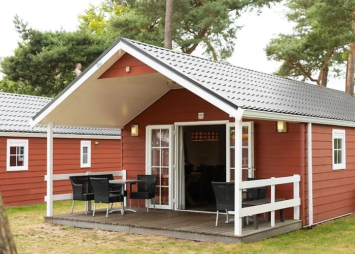 Camping De Molenhof - Lodge 6 Personen Reutum