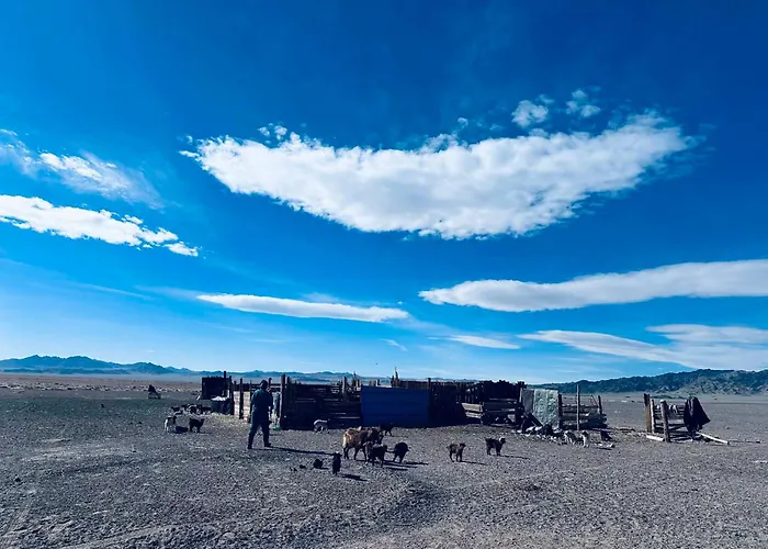 Mongolian Nomadic Herders Dorgon