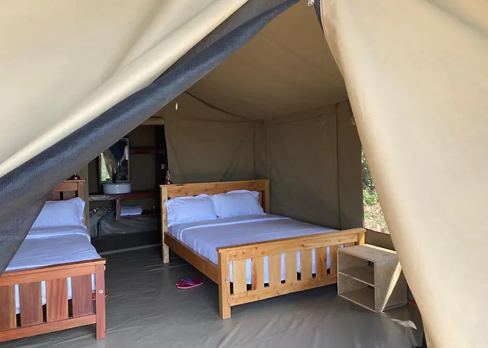 Nature Lovers Camp Sekenani