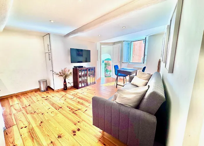 Ferienwohnung A Ot Cocon Du Senat 2 - Old Town Promenade Des Ang Nizza