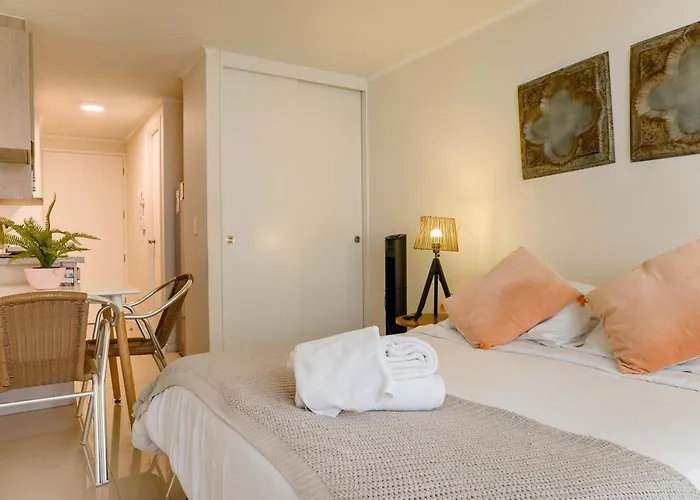 Modern Studio Prime Location Near Santa Lucia Santiago de Chile