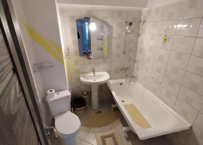 Apartment For Rent Iasi Nicolina