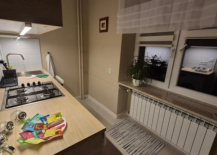 Przytulne Studio Przy Metro Plocka L Cozy Studio Near The Plocka Metro Station Warschau