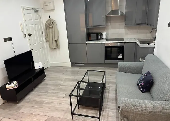 Hamilton Spacious Flats Brentford