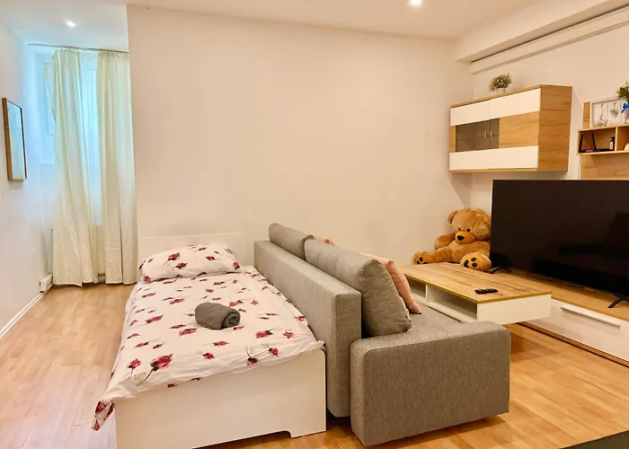 Spacious Apartment Near City Center Wien