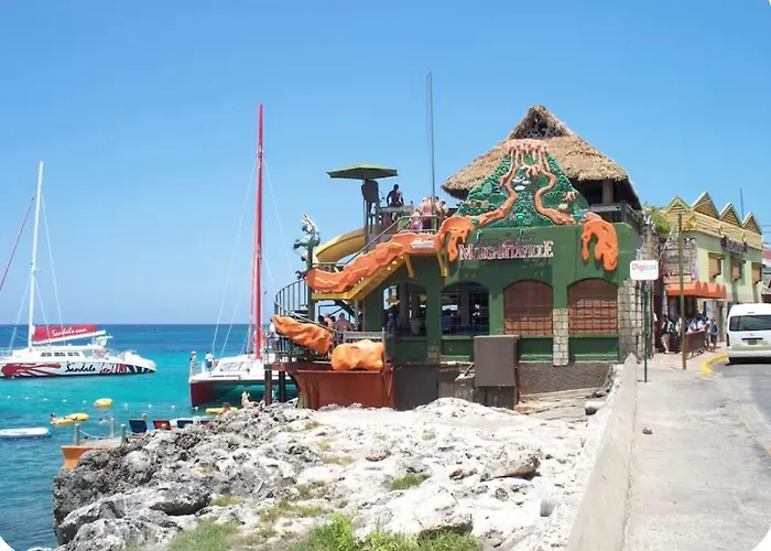 The Palms Of Mobay 1 - 3 Bedroom With Private Pool And Jacuzzi Near Montego Bay Airport And Beach Strip