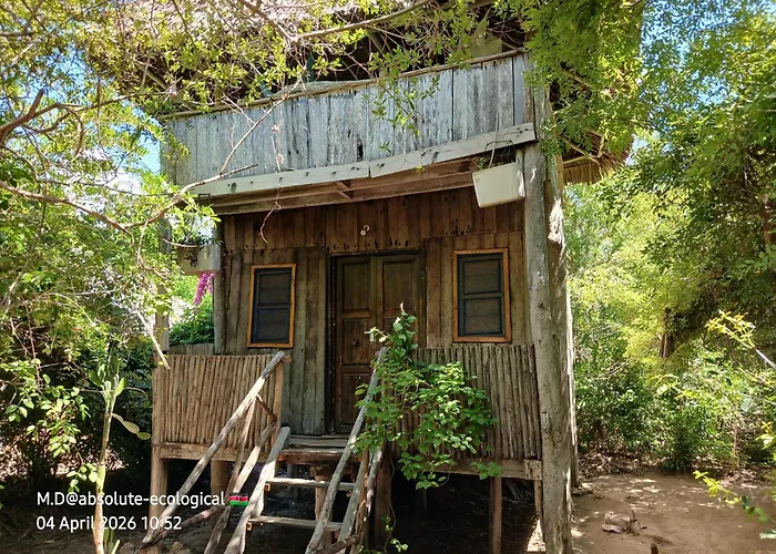 Bed and Breakfast Mida Creek Eco Camp Watamu