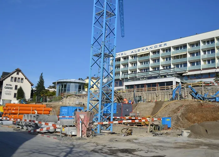 Hotel Alexander Weggis