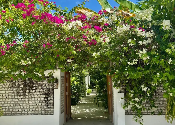 Hotel Seaside Dhigurah Dhigurah 