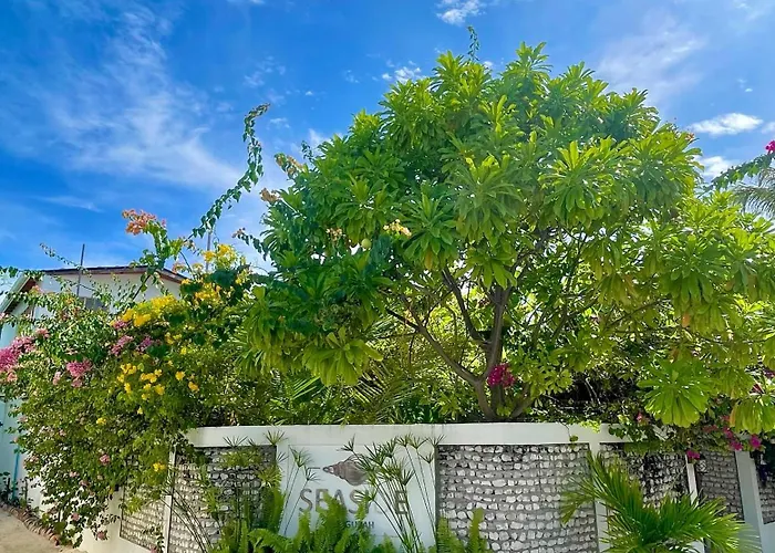 Hotel Seaside Dhigurah Dhigurah 