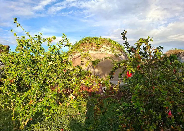 Paradise City Kidoti