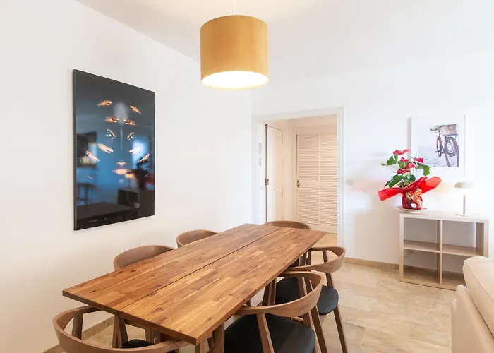 Large Apartment Marbella Del Mar