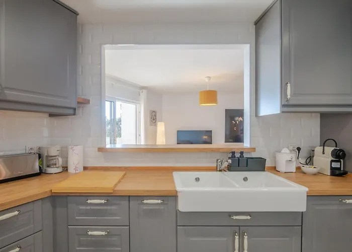 Large Apartment Marbella Del Mar