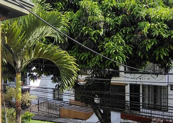 Hostel La Iguana Cafe Pereira