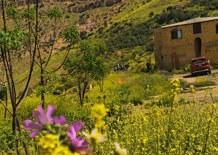Dana Horizon Hotel