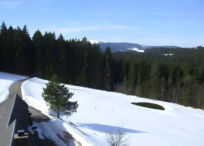 Gasthaus Heiligenbrunnen Titisee-Neustadt
