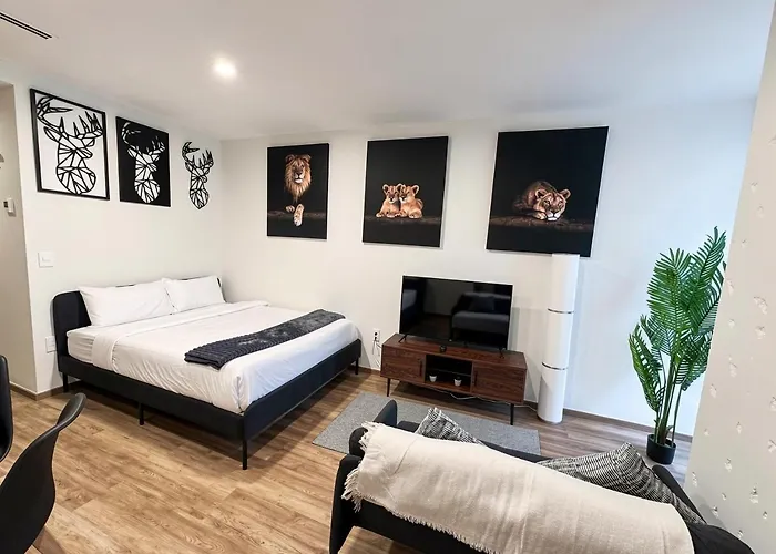 Cozy Studio Urban Escape In Mexico