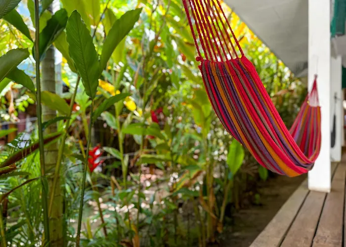 Playa 506 Beachfront Hostel Puerto Viejo de Talamanca