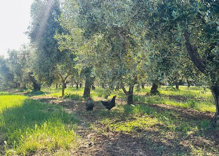 Agriturismo Il Tripesce Vada
