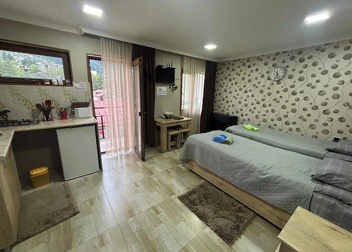 Guesthouse Saba Bordschomi