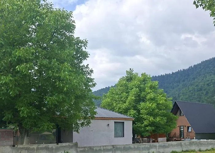 Villa Kesi'S House Bordschomi
