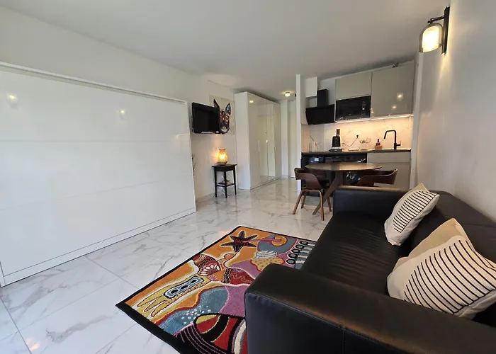 Residence Bord De Mer, Cannes Midi, Acces Direct A La Plage