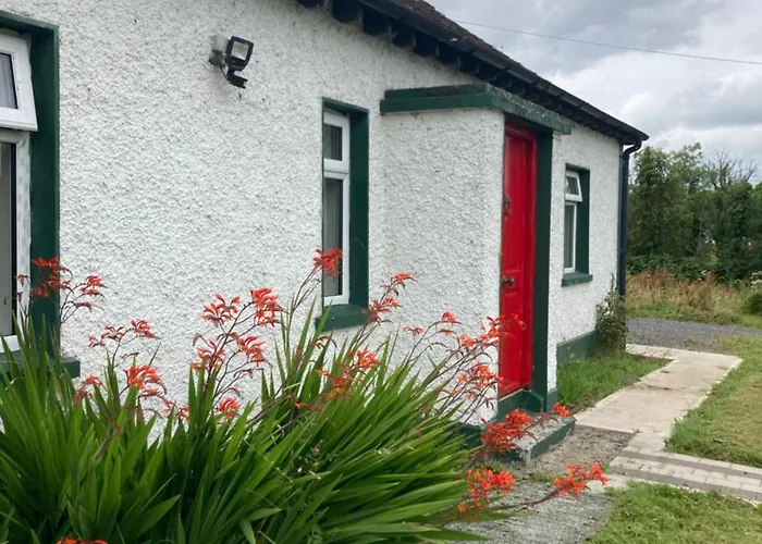 Beautiful Cosy Cottage Killashandra