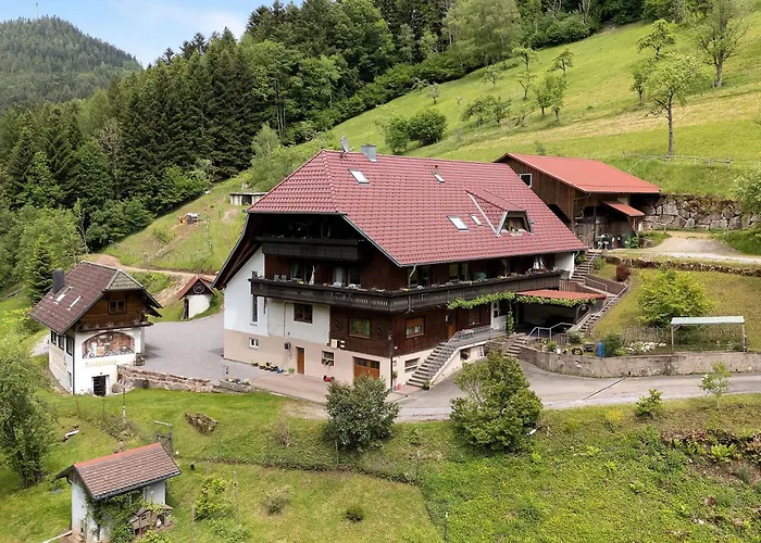 Ferienparadies Maierbauernhof Bad Peterstal-Griesbach
