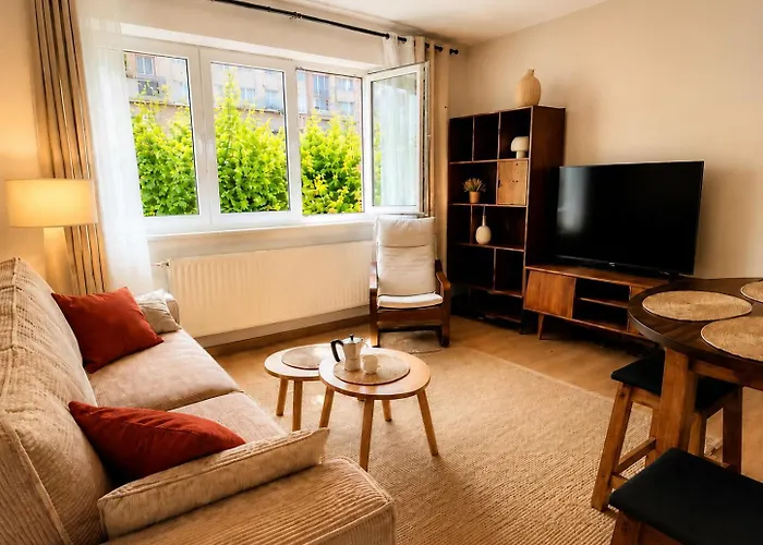 Appartement Cosy Centre-Ville Colmar-Ascenseur & Parking Prive En Sous Sol