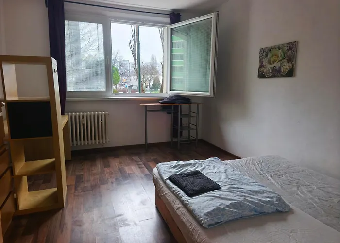 Double Room 17M2 With Shared Bathroom Pressburg