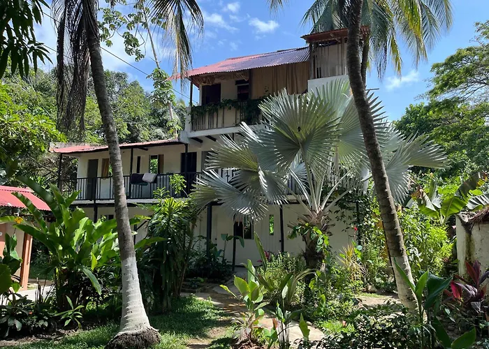 Bed and Breakfast Dog Shelter Cafe Palomino