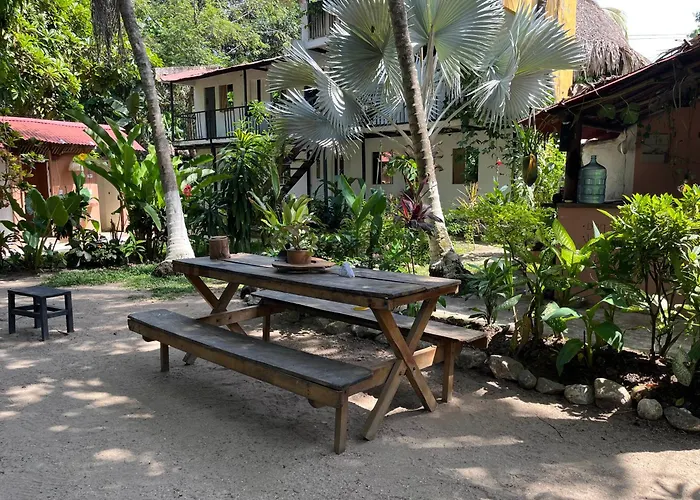 Bed and Breakfast Dog Shelter Cafe Palomino