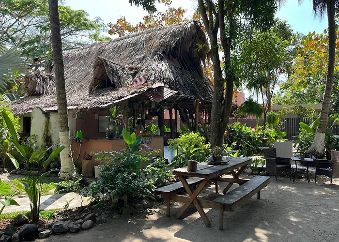 Bed and Breakfast Dog Shelter Cafe Palomino