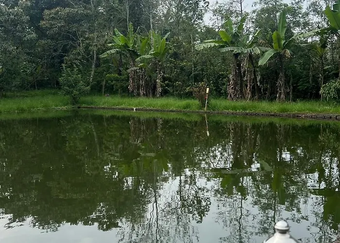 Villa Chirackal Garden Mountain View, Cumbummettu, Ramakkalmedu