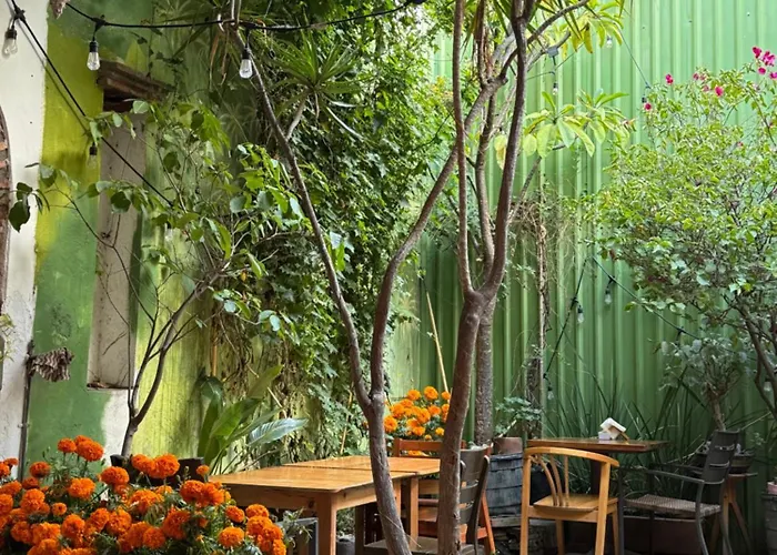 Un Hotel En Un Cafe Oaxaca