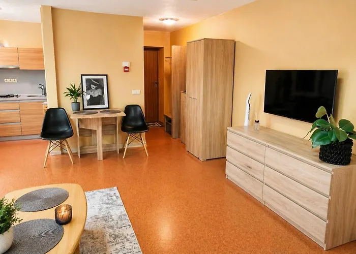 City Center Apartments Panevėžys