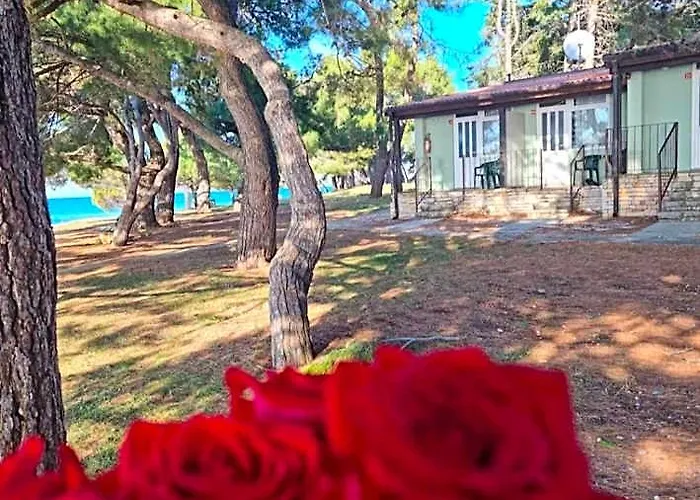 Family Bungalow Pineta Novigrad Istria