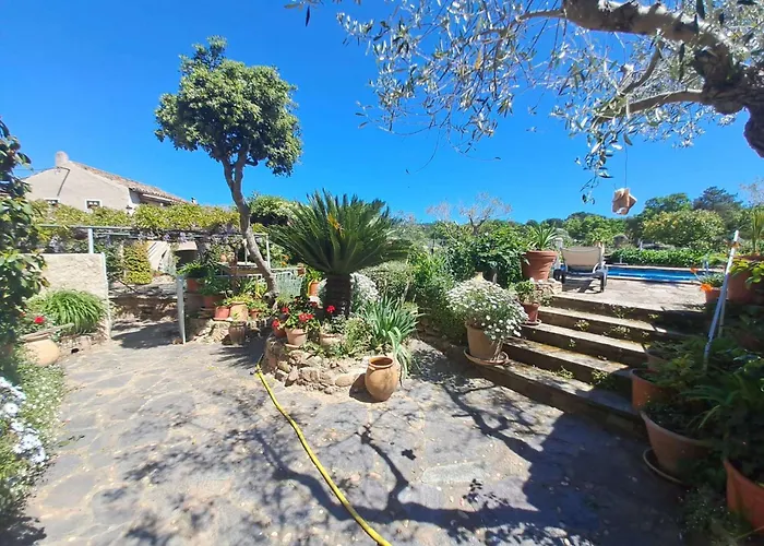 Authenticite Serenite Au Coeur Des Vignes Maison T3 A Ramatuelle