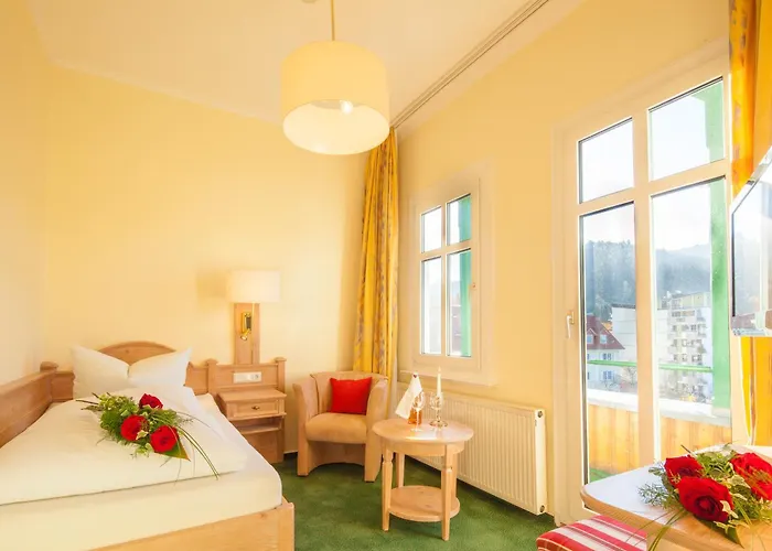 Hotel Victoria Bad Harzburg