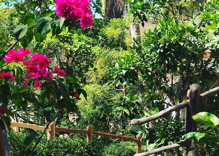 Hotel La Buena Vista Puerto Ángel
