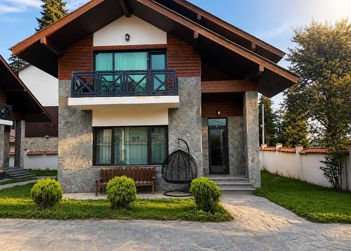 Luxury Mountian Chalet Bakuriani