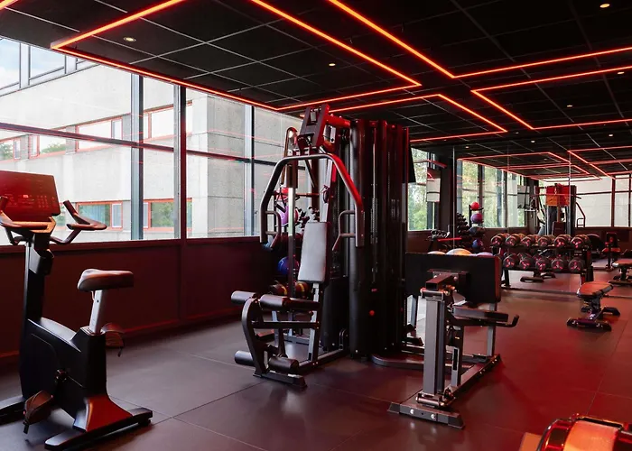Hotel Ibis Schiphol Amsterdam Airport Badhoevedorp