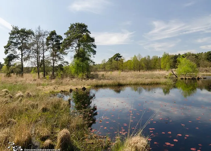 Bed and Breakfast De Roermondse Beleving