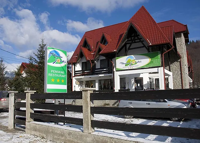 Hotel Floarea Soarelui Cheia 